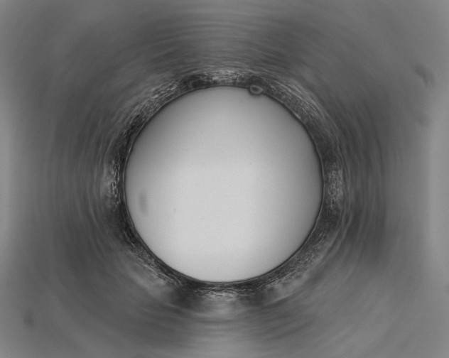 X0000115230653200911131644