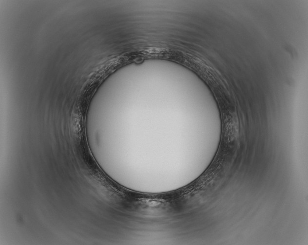 X0000115230654200911131644