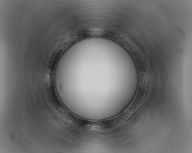 X0000115230655200911131644