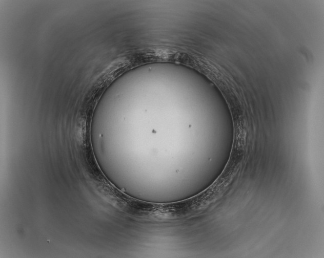 X0000115230656200911131644