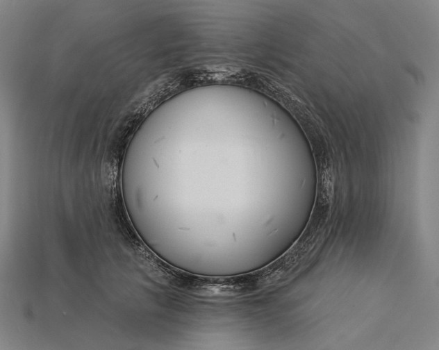X0000115230657200911131644