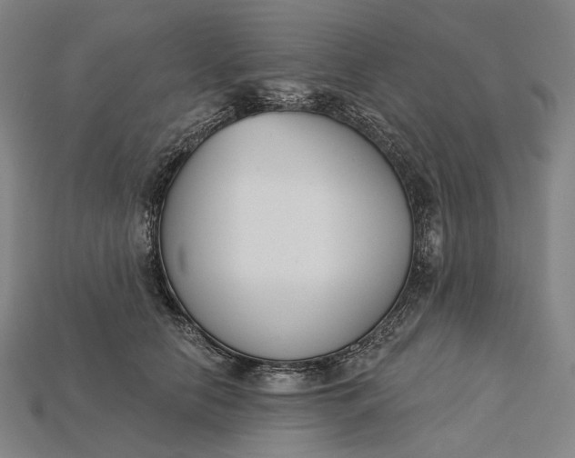 X0000115230658200911131644