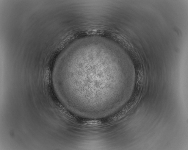 X0000115230659200911131644