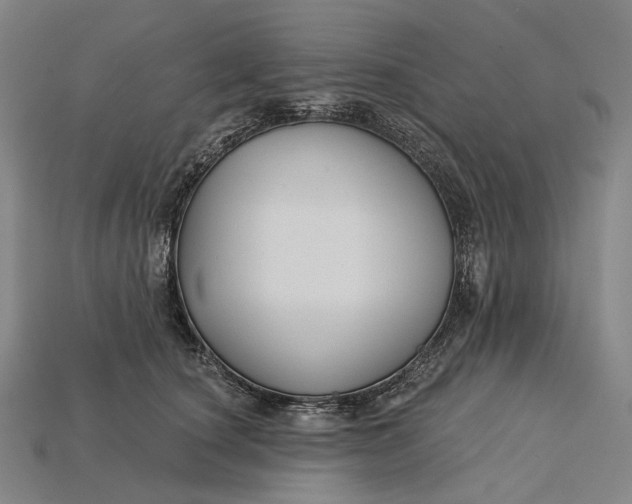 X0000115230660200911131644
