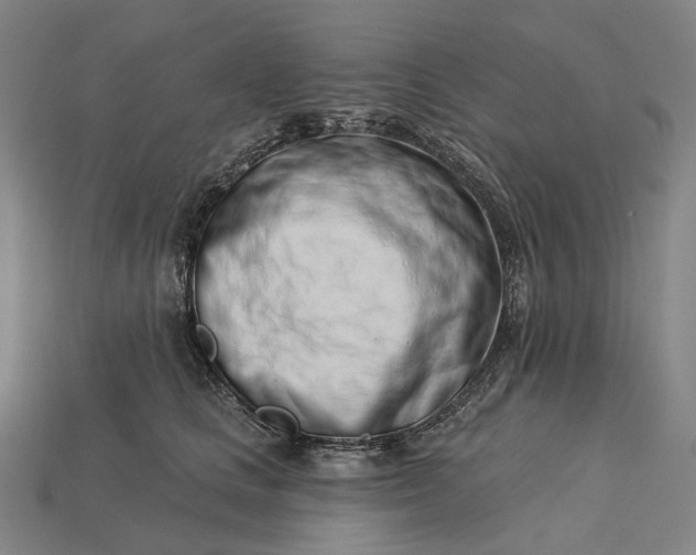 X0000115230661200911131644