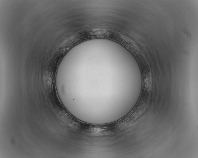 X0000115230662200911131644