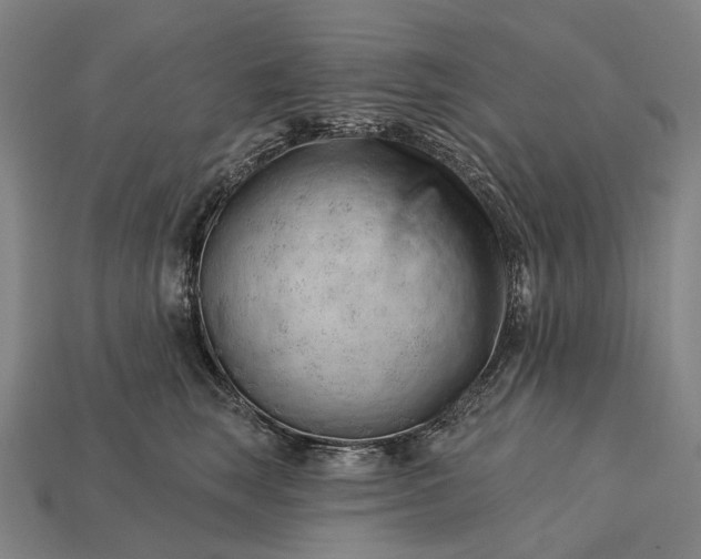 X0000115230663200911131644