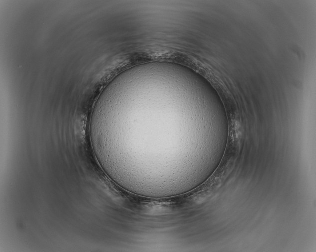 X0000115230664200911131644