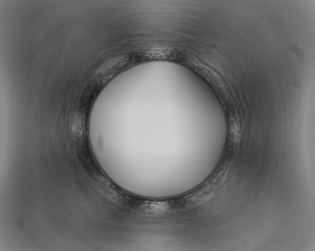 X0000115230665200911131644