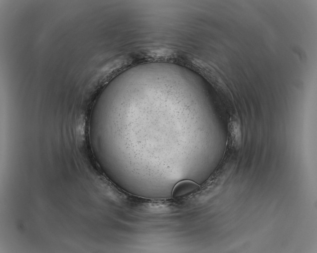 X0000115230668200911131645
