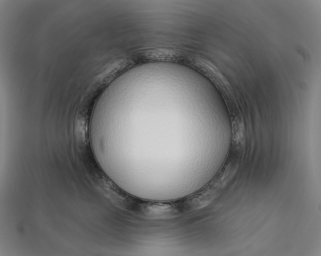 X0000115230669200911131645