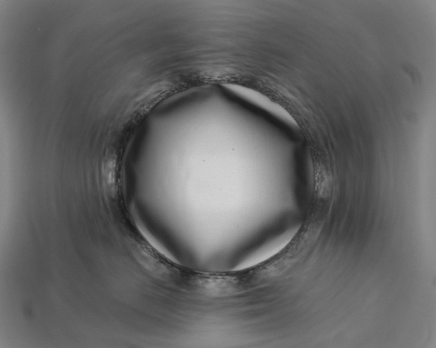 X0000115230670200911131645