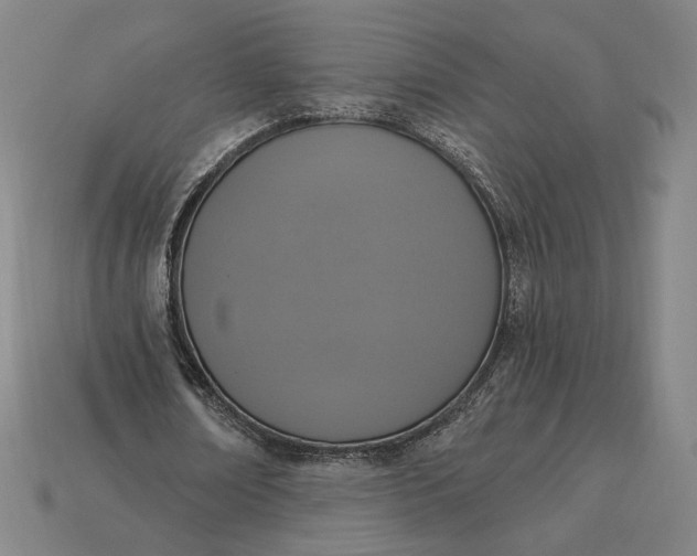 X0000115230674200911131644