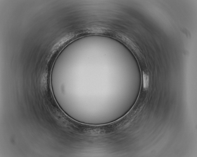 X0000115230675200911131644