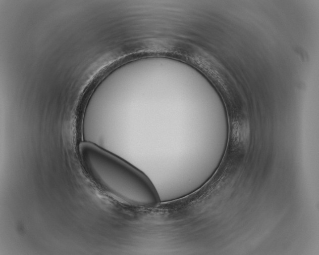 X0000115230676200911131644