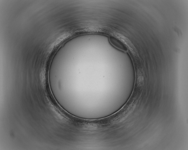 X0000115230677200911131644