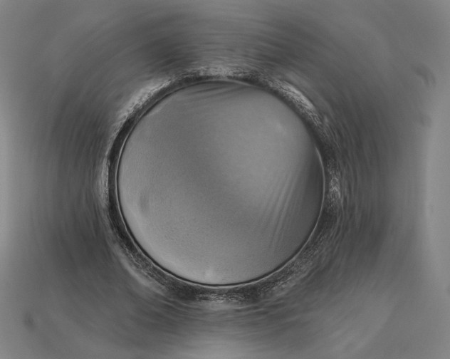 X0000115230678200911131644