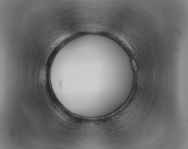 X0000115230679200911131644