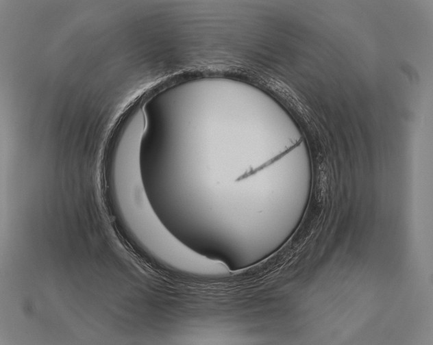 X0000115230680200911131644