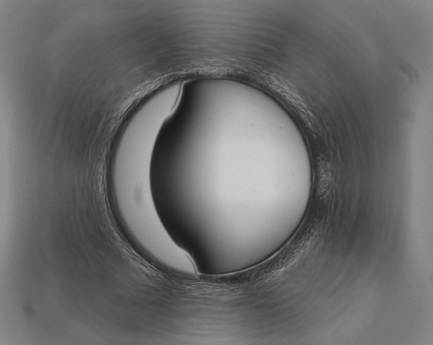 X0000115230681200911131644