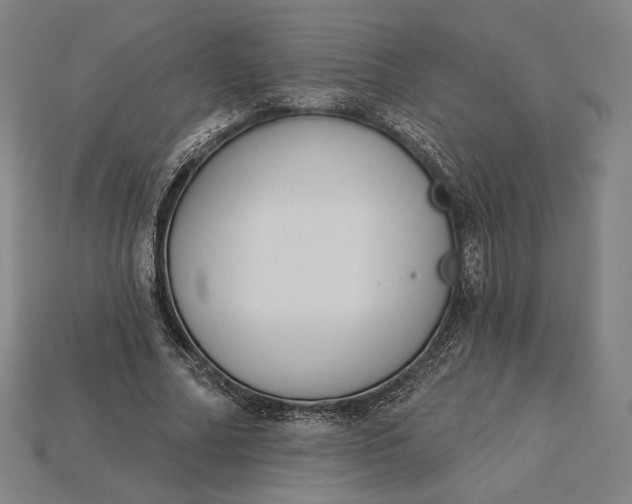 X0000115230682200911131644