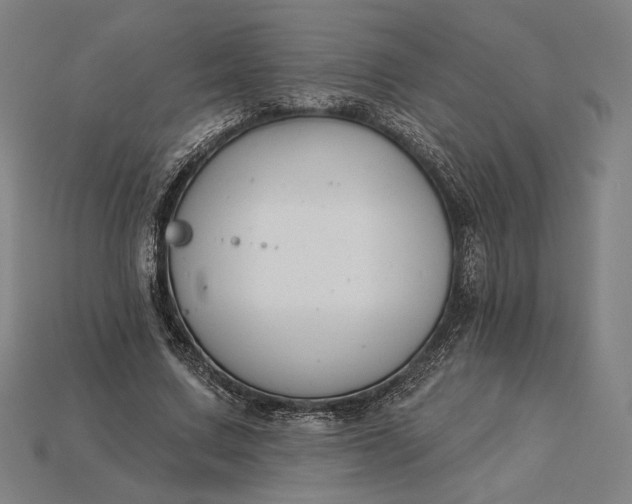X0000115230683200911131644