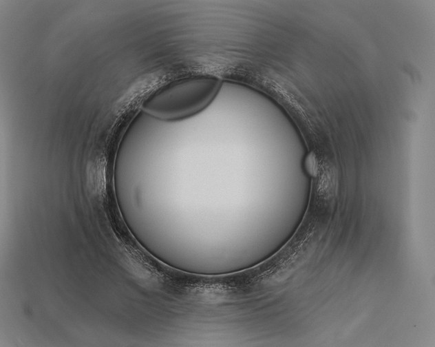 X0000115230685200911131644
