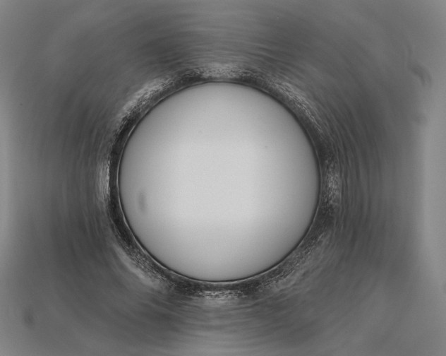 X0000115230686200911131644