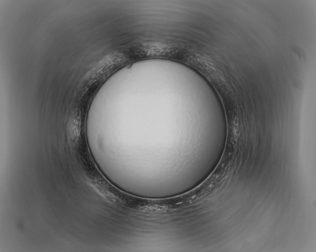 X0000115230691200911131644