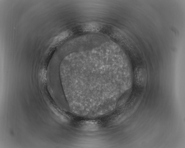 X0000115230692200911131644