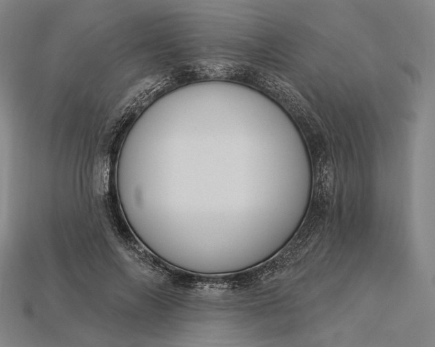X0000115230694200911131644