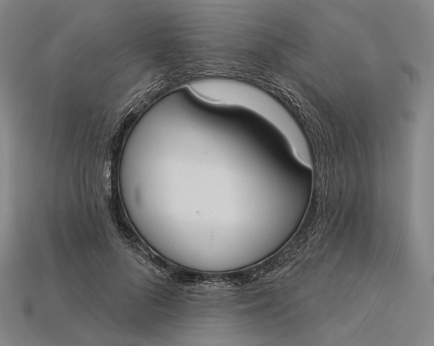 X0000115230696200911131644