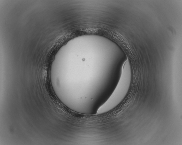 X0000115230697200911131644