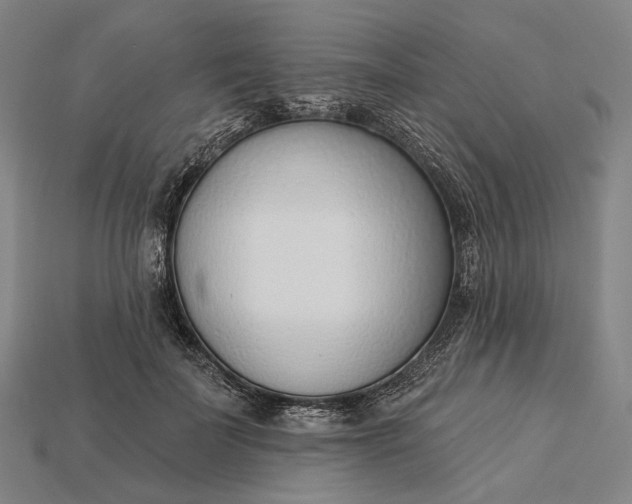 X0000115230699200911131644