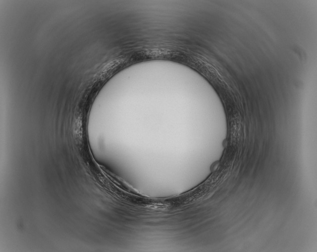 X0000115230700200911131644