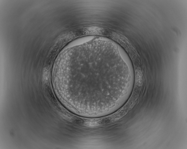 X0000115230701200911131644