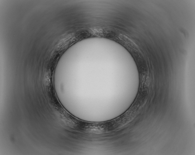 X0000115230702200911131644