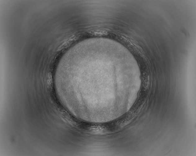 X0000115230704200911131644