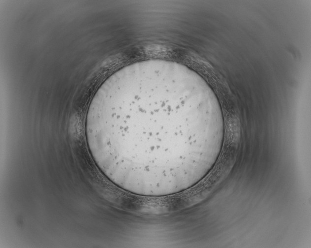 X0000115230705200911131644