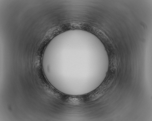 X0000115230706200911131644