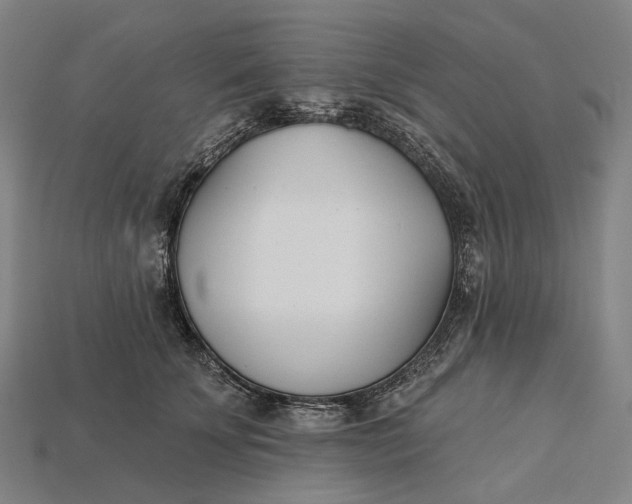X0000115230707200911131644
