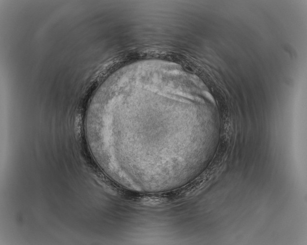 X0000115230708200911131644