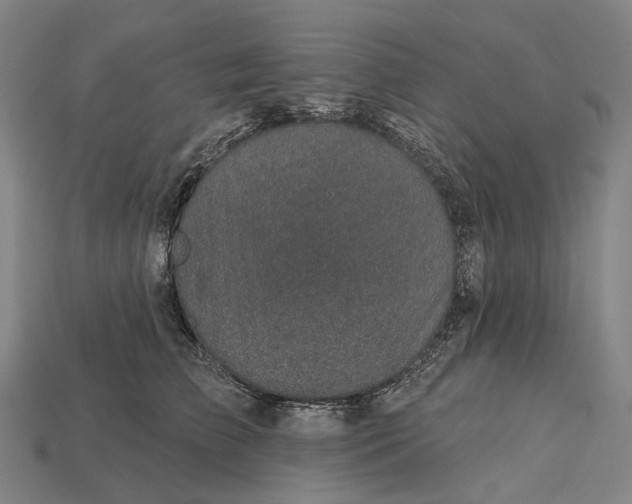 X0000115230709200911131644