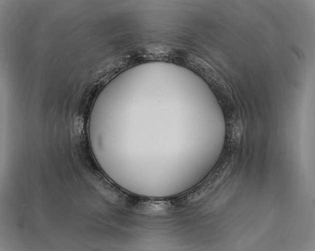 X0000115230711200911131643