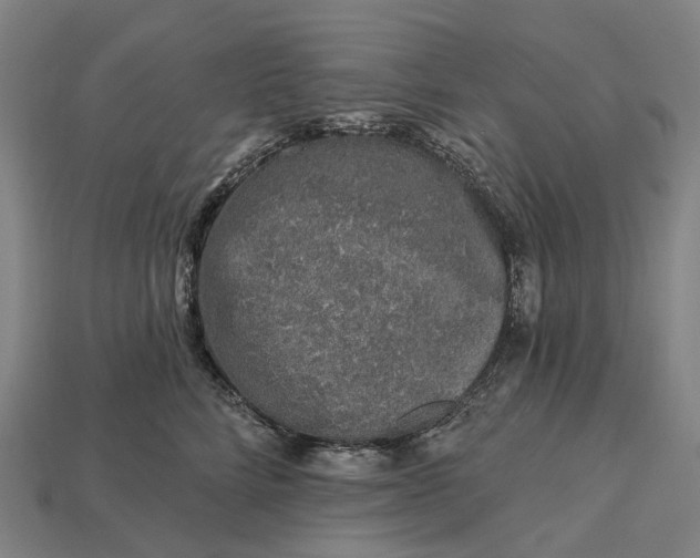 X0000115230712200911131643