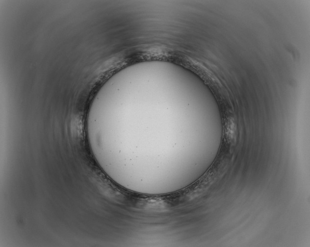X0000115230715200911131643