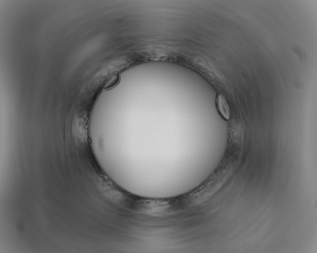 X0000115230719200911131643