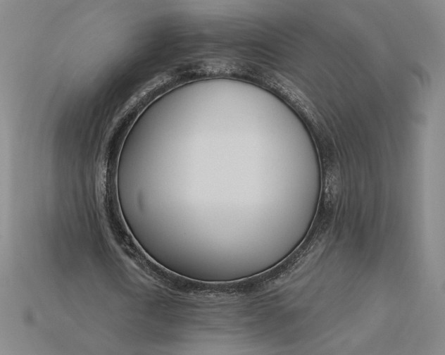 X0000115230722200911131643