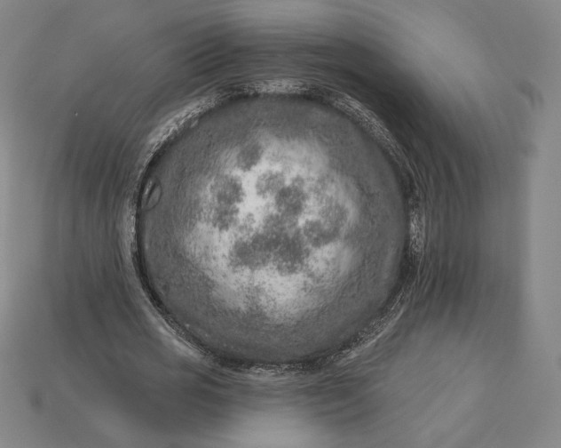 X0000115230725200911131643