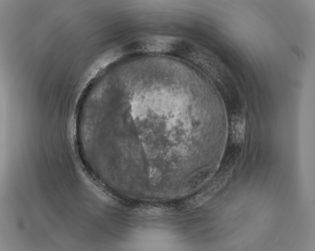 X0000115230726200911131643